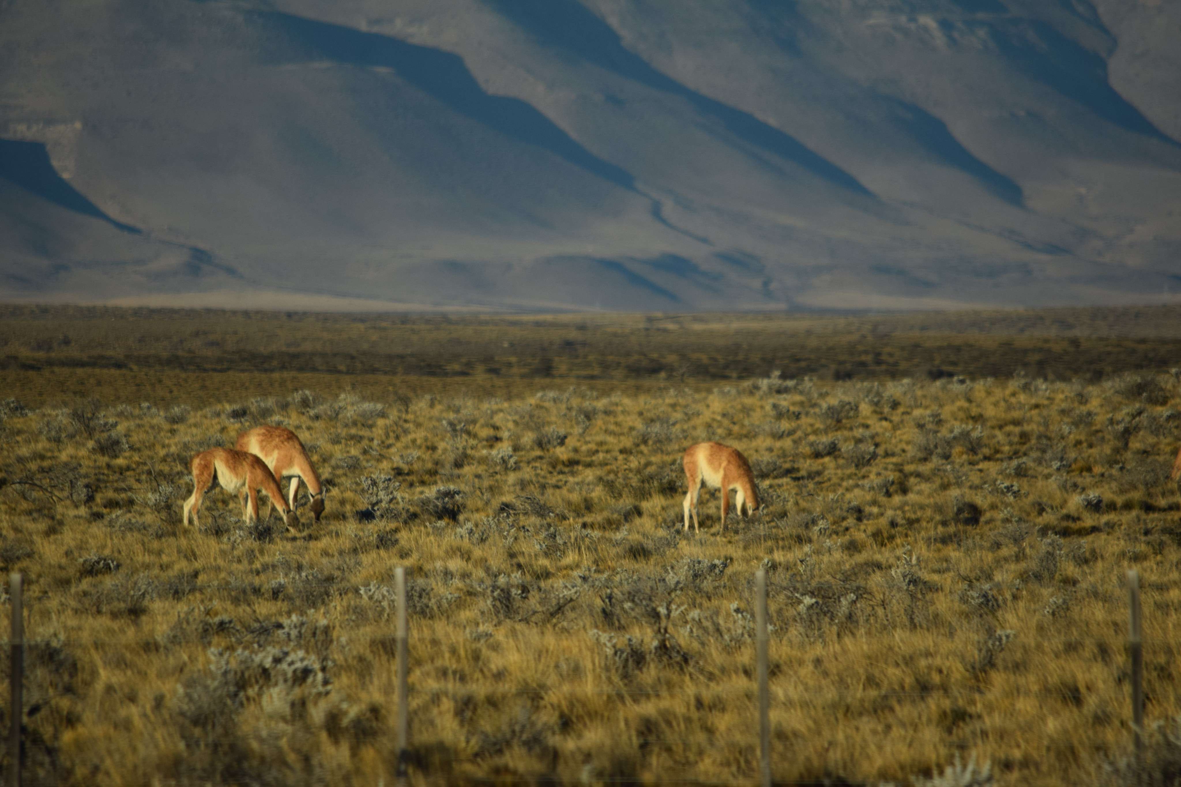 Photo 34